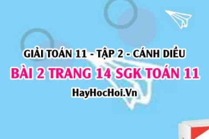 Bài 2 trang 14 Toán 11 tập 2 Cánh Diều